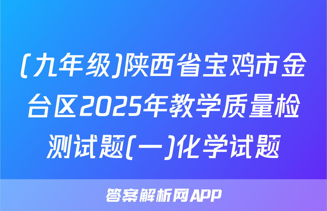 (九年级)陕西省宝鸡市金台区2025年教学质量检测试题(一)化学试题