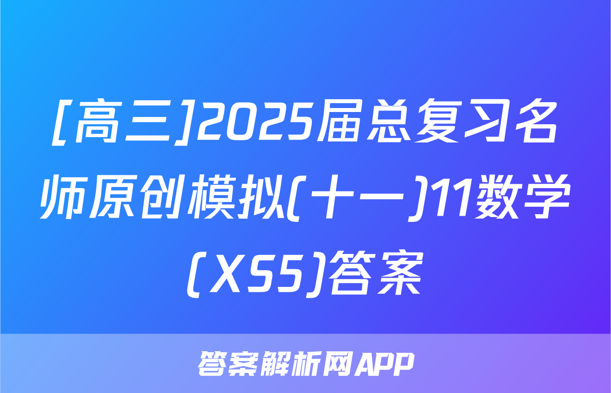 [高三]2025届总复习名师原创模拟(十一)11数学(XS5)答案