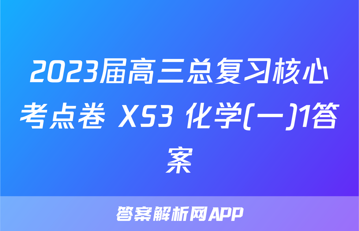 2023届高三总复习核心考点卷 XS3 化学(一)1答案