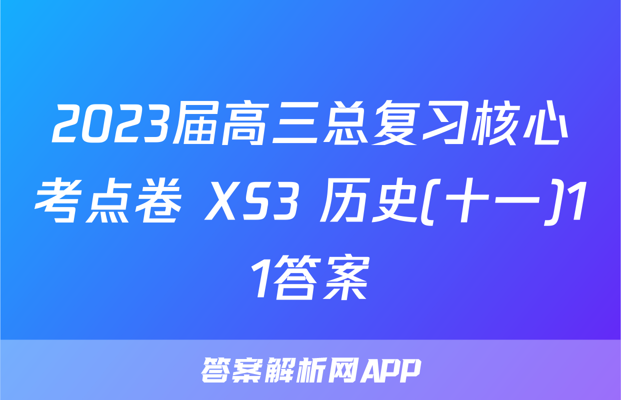 2023届高三总复习核心考点卷 XS3 历史(十一)11答案