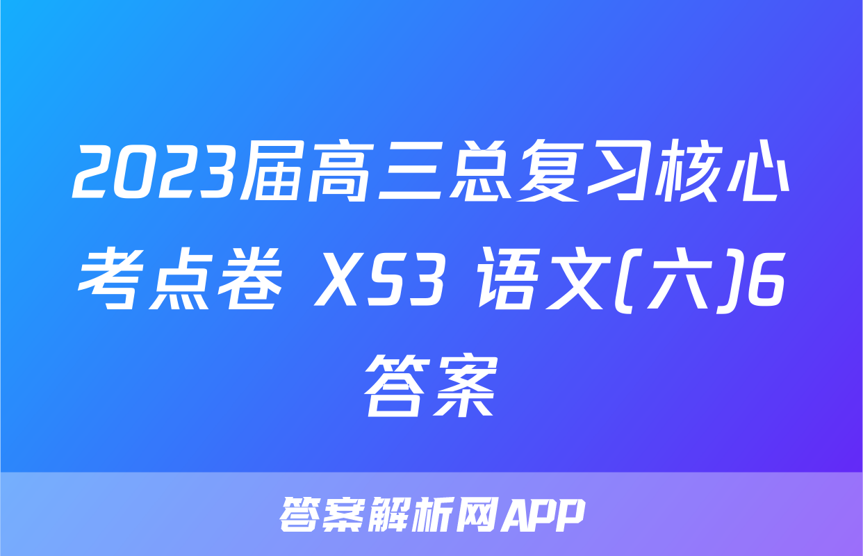 2023届高三总复习核心考点卷 XS3 语文(六)6答案