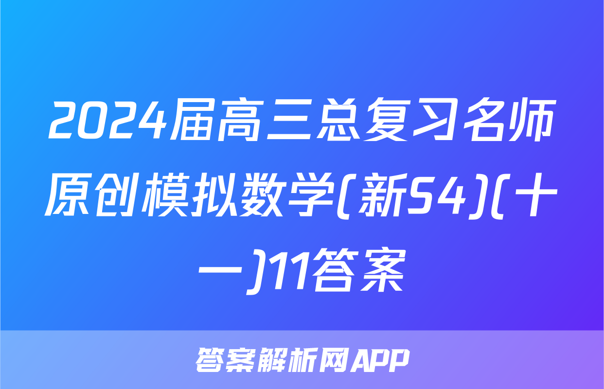 2024届高三总复习名师原创模拟数学(新S4)(十一)11答案
