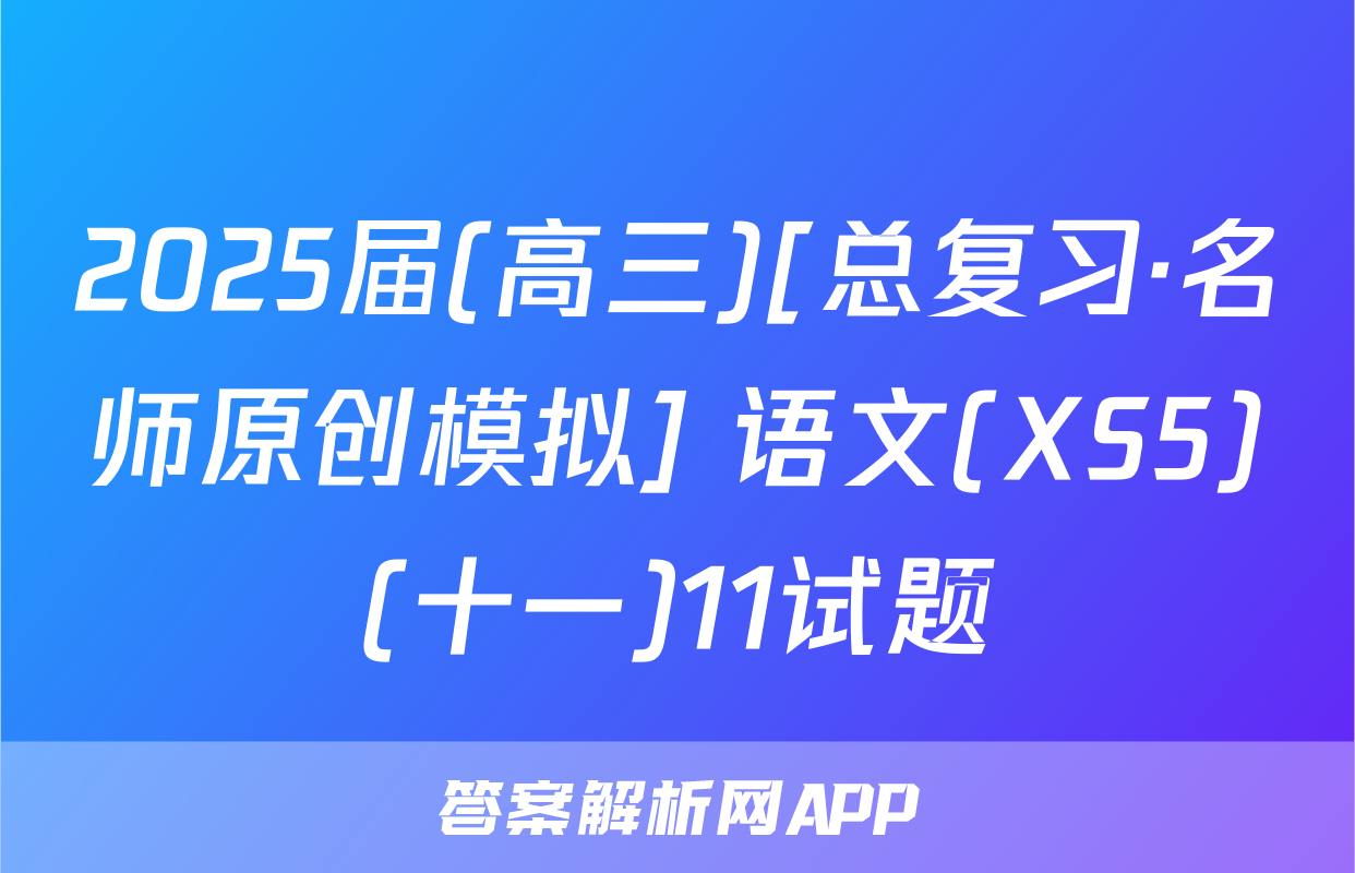 2025届(高三)[总复习·名师原创模拟] 语文(XS5)(十一)11试题