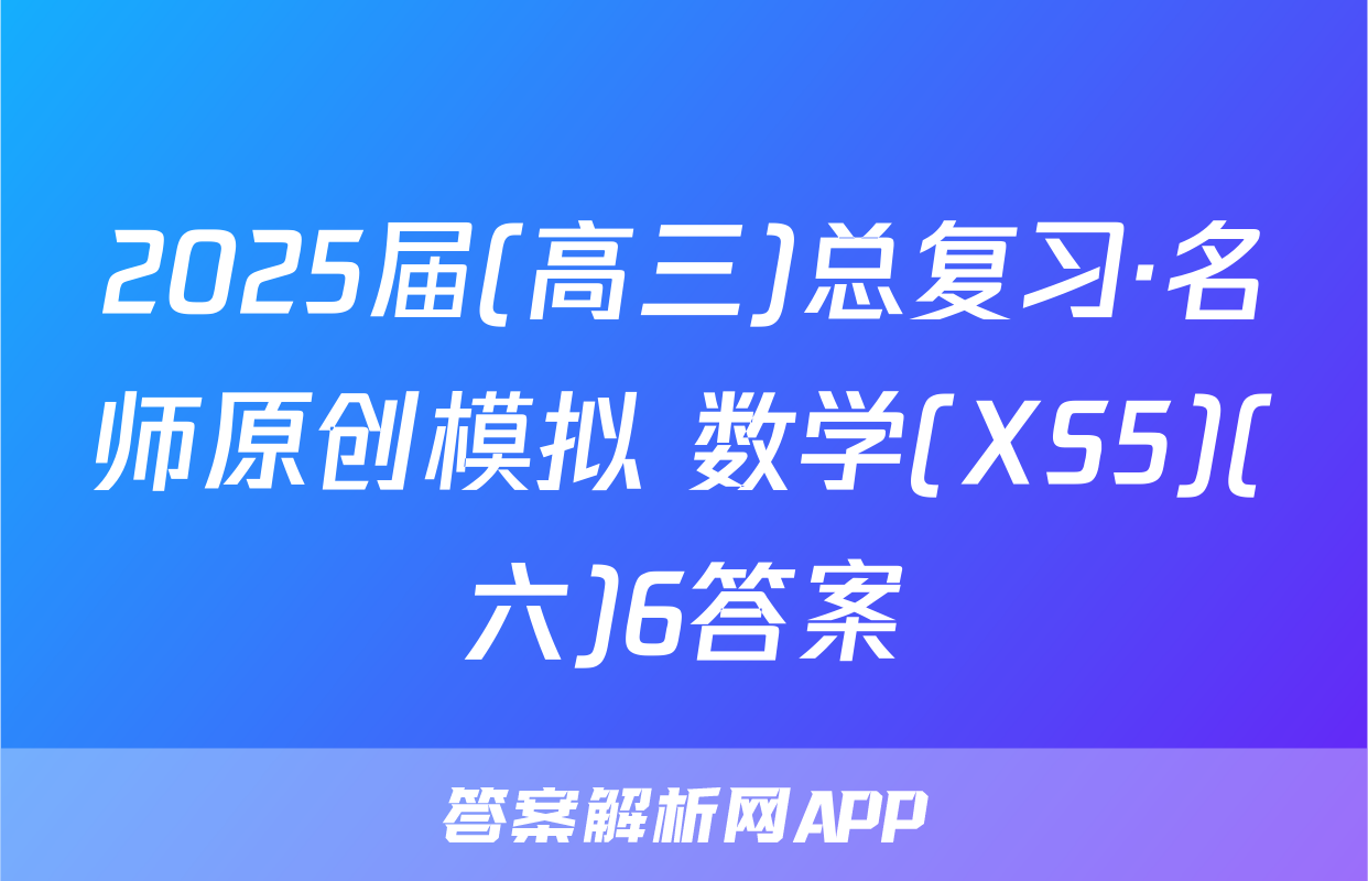 2025届(高三)总复习·名师原创模拟 数学(XS5)(六)6答案