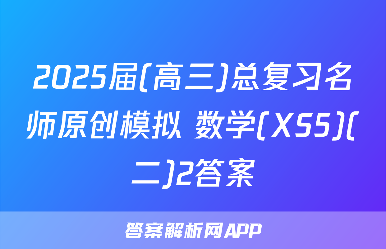 2025届(高三)总复习名师原创模拟 数学(XS5)(二)2答案