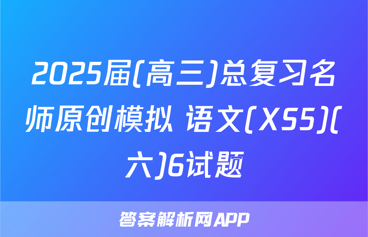 2025届(高三)总复习名师原创模拟 语文(XS5)(六)6试题
