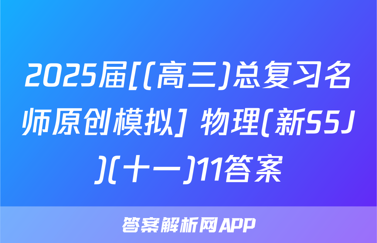 2025届[(高三)总复习名师原创模拟] 物理(新S5J)(十一)11答案