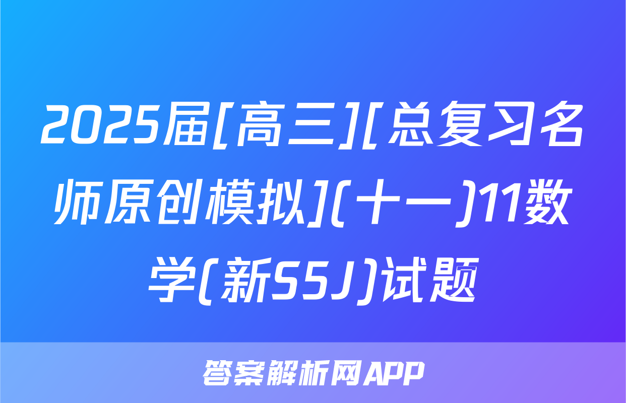 2025届[高三][总复习名师原创模拟](十一)11数学(新S5J)试题