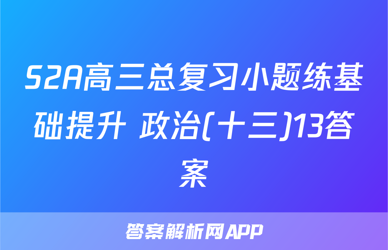 S2A高三总复习小题练基础提升 政治(十三)13答案