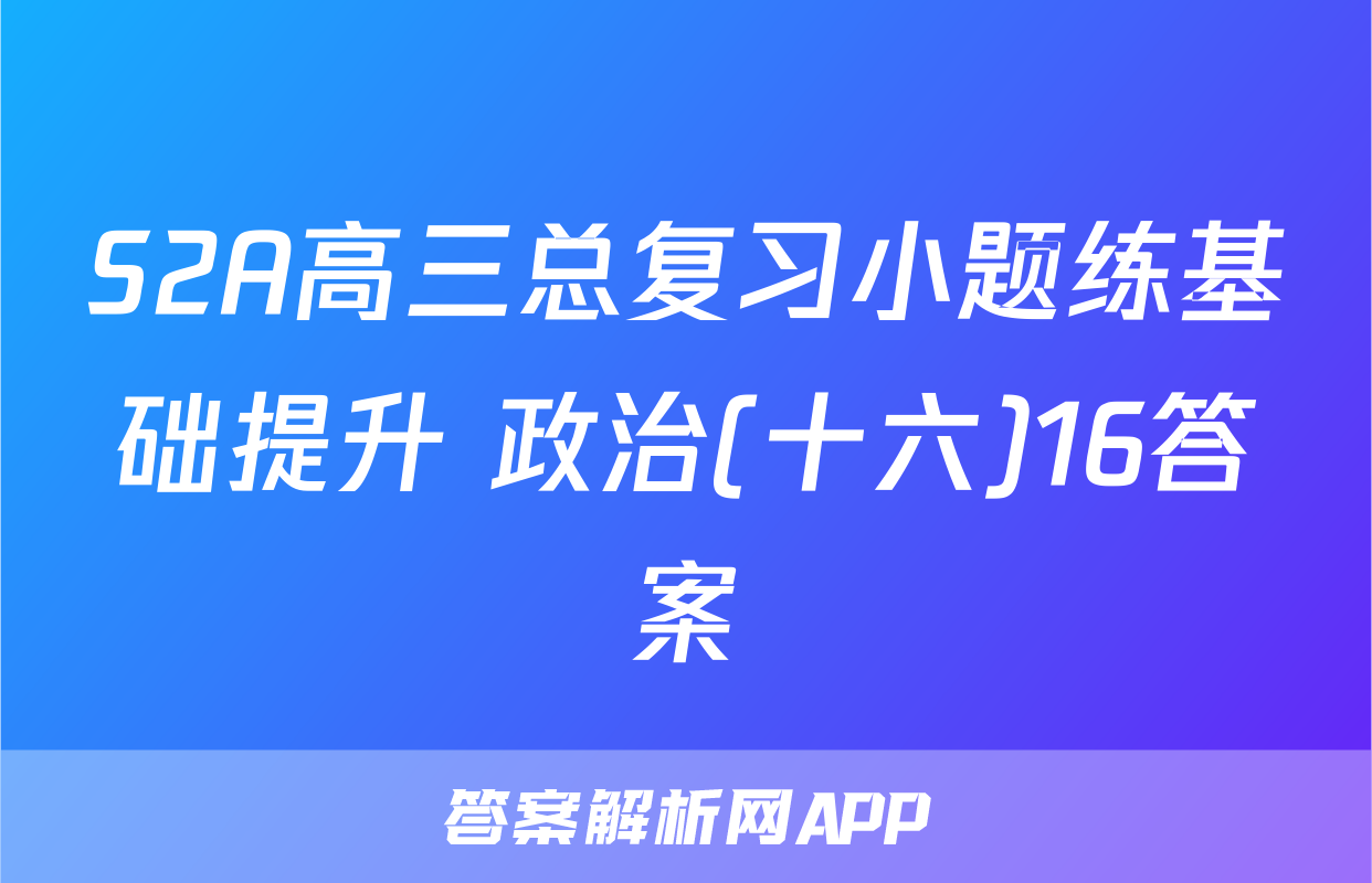 S2A高三总复习小题练基础提升 政治(十六)16答案